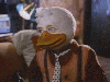 Howard the Duck