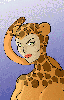 Cheetah