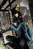 Nightwing