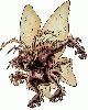 Killer Moth (Charaxes)