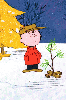 Charlie Brown