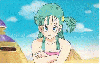 Bulma