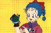 Bulma