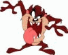 The Tasmanian Devil (Taz)