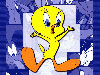 Tweety Bird