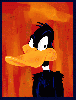 Daffy Duck