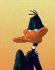 Daffy Duck