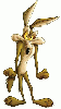 Wile E. Coyote