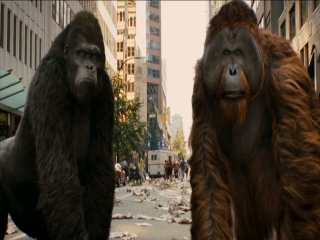 Apes (Planet of the Apes)