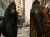 Apes (Planet of the Apes)