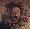 The Cowardly Lion