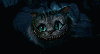 The Cheshire Cat