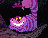 The Cheshire Cat