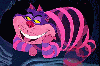 The Cheshire Cat