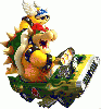 King Bowser