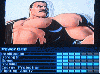 Mike Haggar